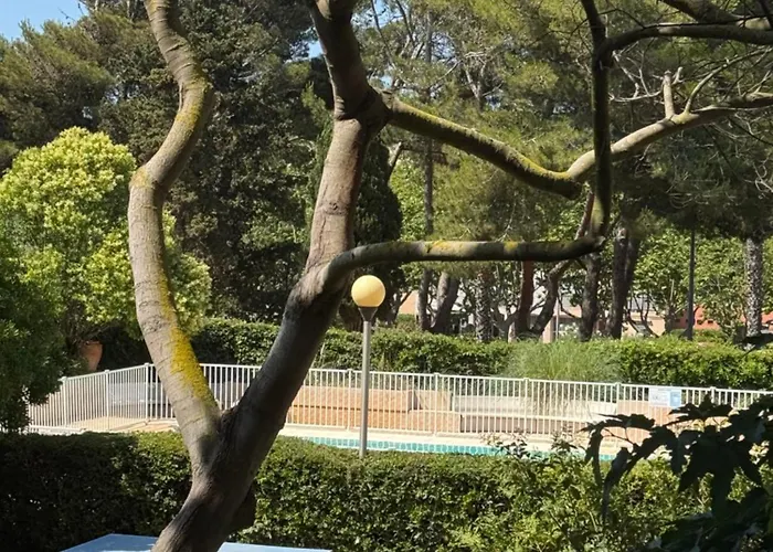 Pause A Mare Nostrum - Histoire De Cles * Agde